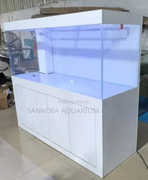 Aquarium Furniture Installation