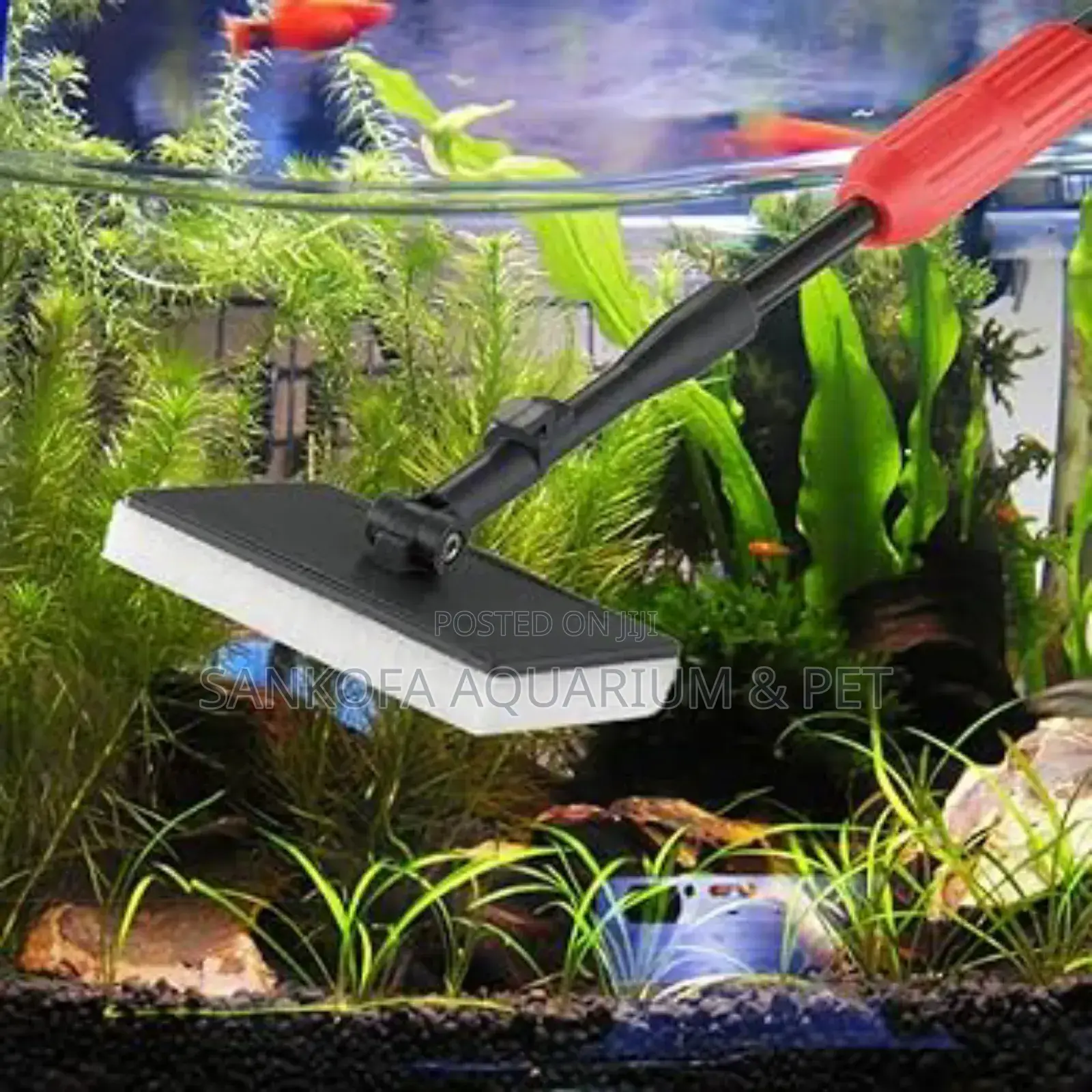 Aquarium Maintenance Servicing