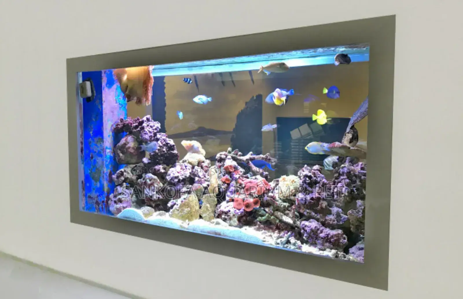 We Build Wall Units Aquarium