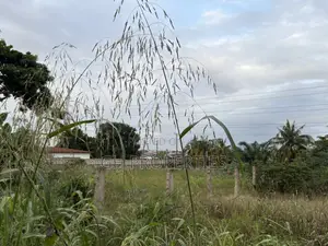 Three Plots for Sale at Ahodwo.