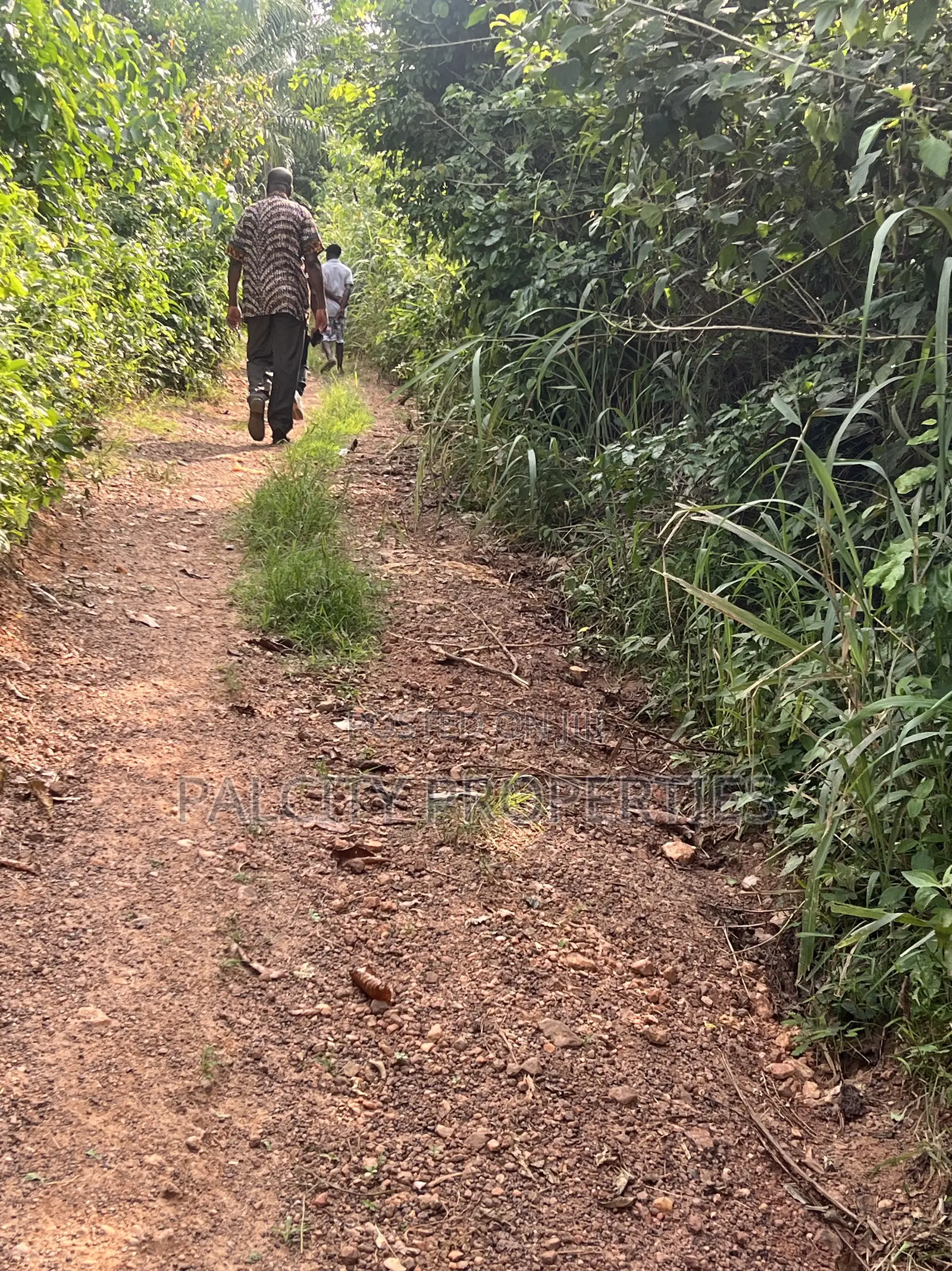 Over 100 Acres of Farm Land for Sale at Senchi