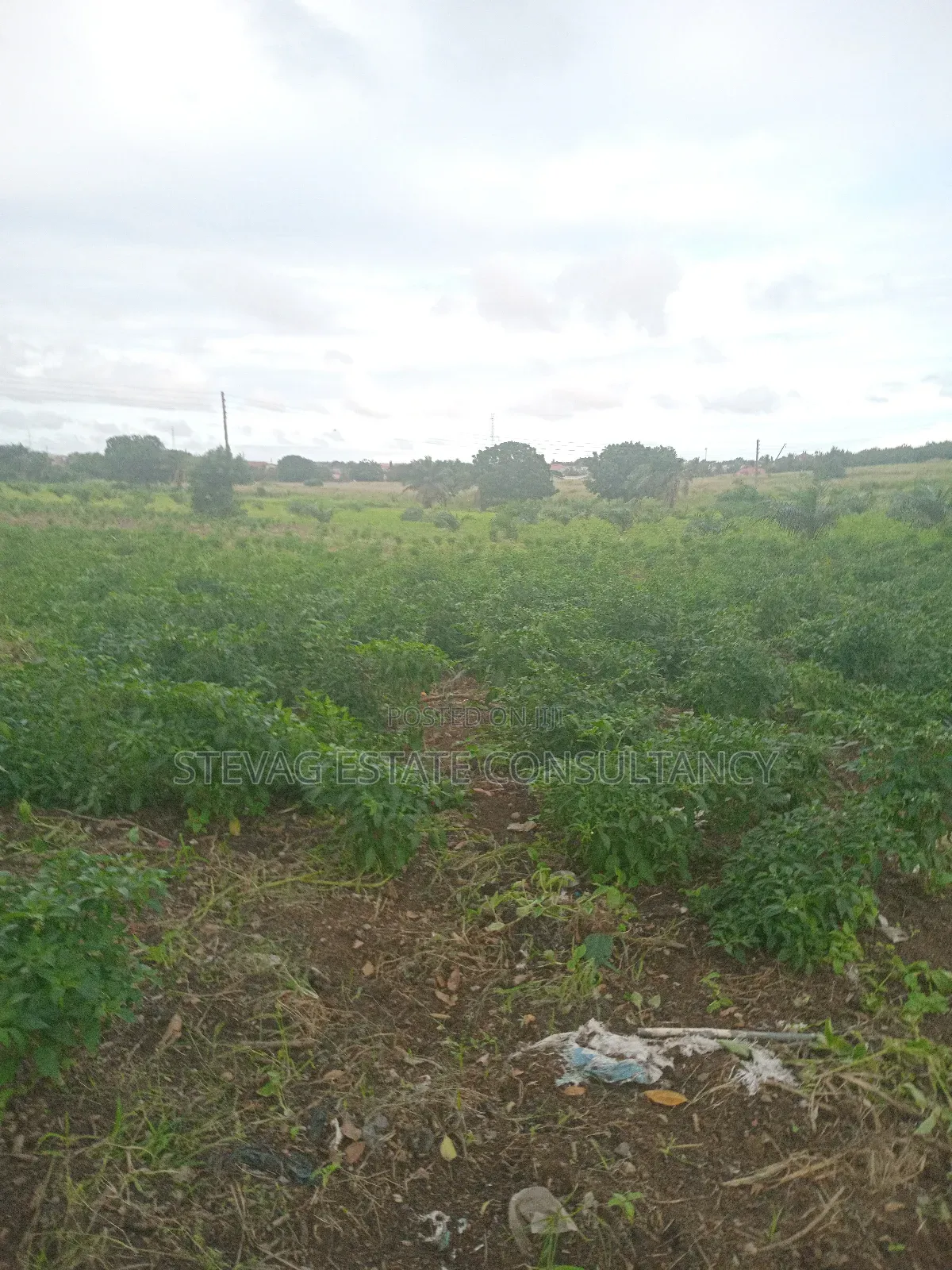 Alpha Properties Estate Land for Sale at Kasoa Akraman