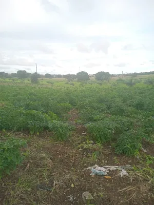 Alpha Properties Estate Land for Sale at Kasoa Akraman