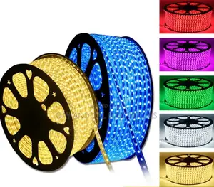 Rope Light 50m (Warm,White,Blue)