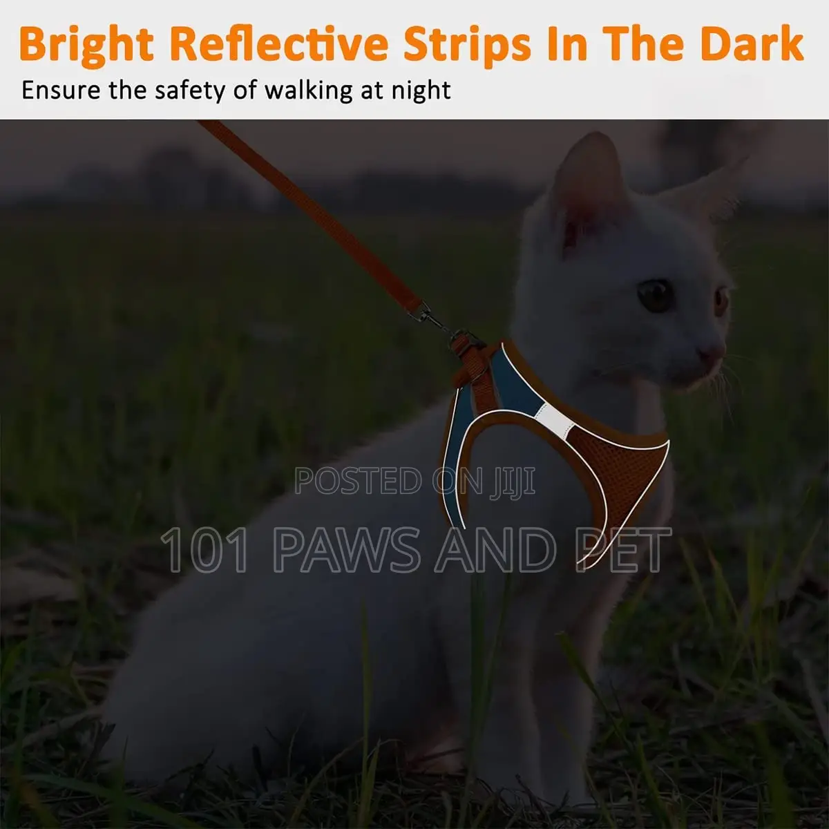 Cat Harness