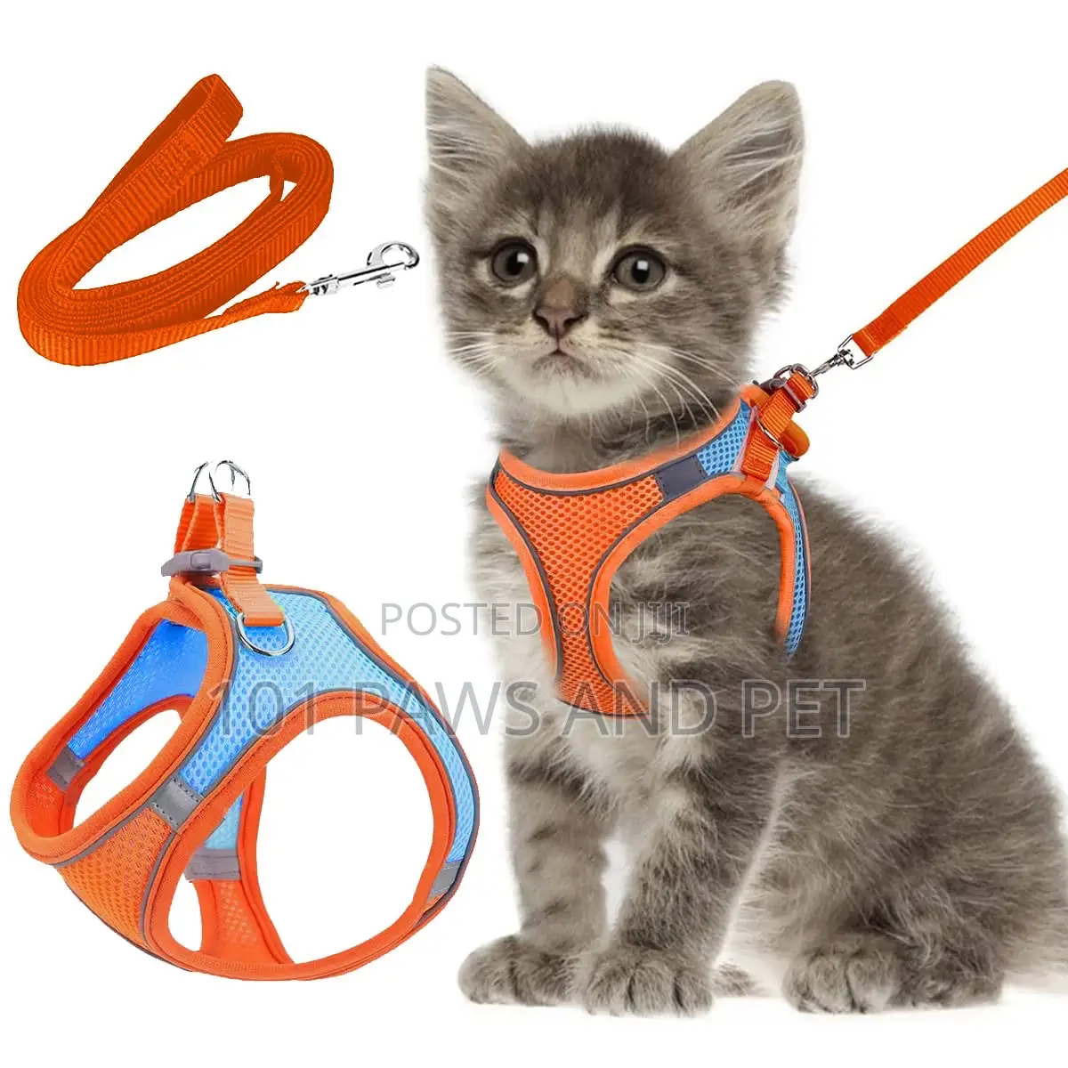 Cat Harness