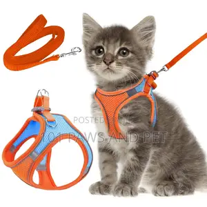 Cat Harness