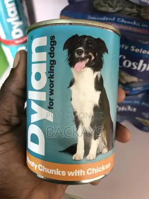 Dylan Meaty Chunks