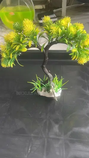 Aquarium Thick Plant