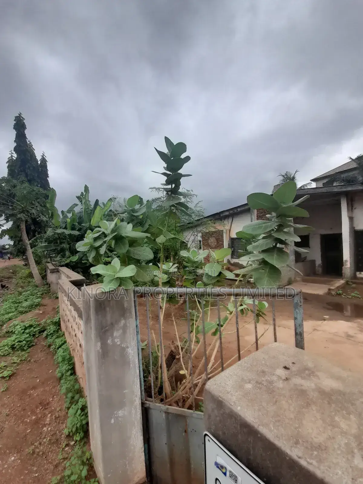70×100 Registered Plot of Land for Sale at Hatso Palace