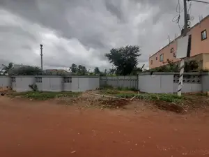 Registered Land for Sale at Hatso Super Market