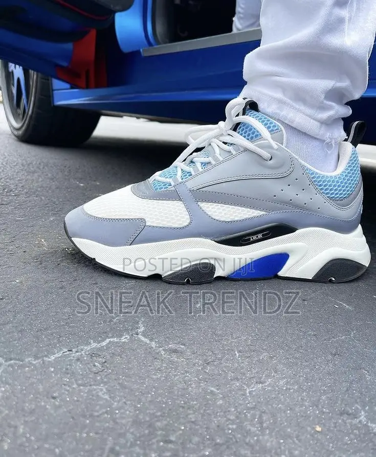 Dior Homme Cd Greywhite N Blue