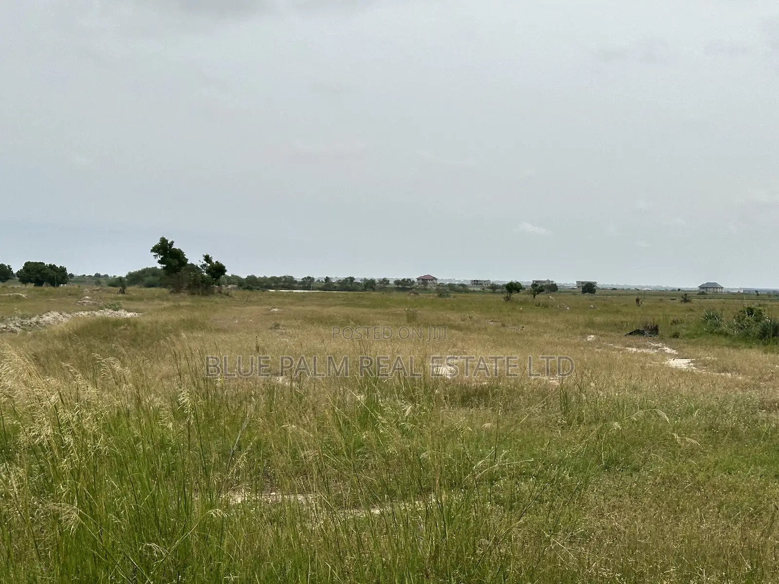Bueko Lands for Sale – Residential, Commercial Investment Ready