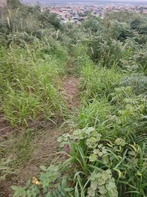 Land for Sale Oyibi Hills