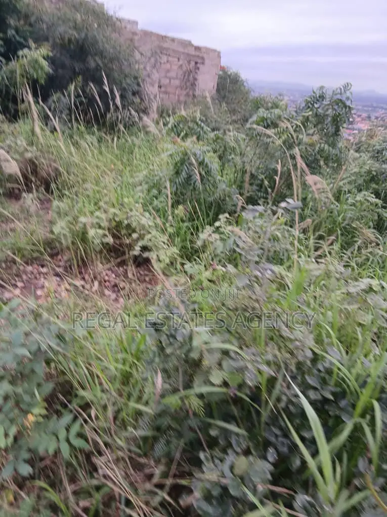 Land for Sale Oyibi Hills