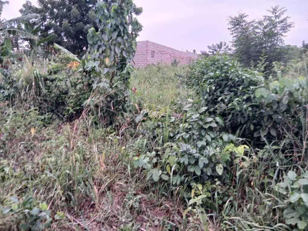 8 Plots Of Land For Sale At Berekum Nanasuano