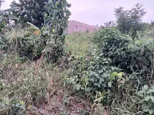 8 Plots Of Land For Sale At Berekum Nanasuano