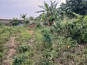 8 Plots Of Land For Sale At Berekum Nanasuano