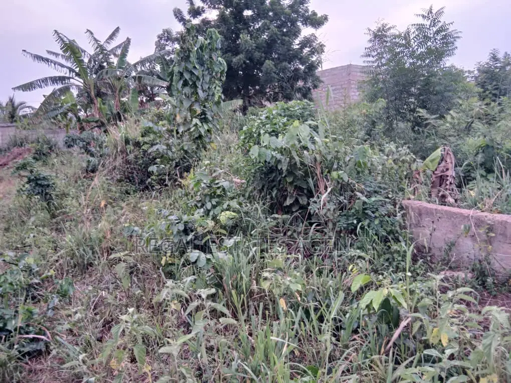 8 Plots Of Land For Sale At Berekum Nanasuano