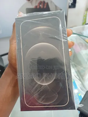 New Apple iPhone 12 Pro Max 256 GB Gold
