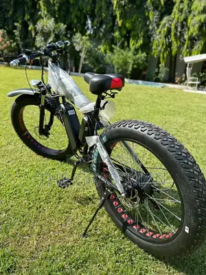 Luxury Benz Electric Bicycle All Roads 40km