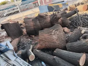 Tree Logs for Sale