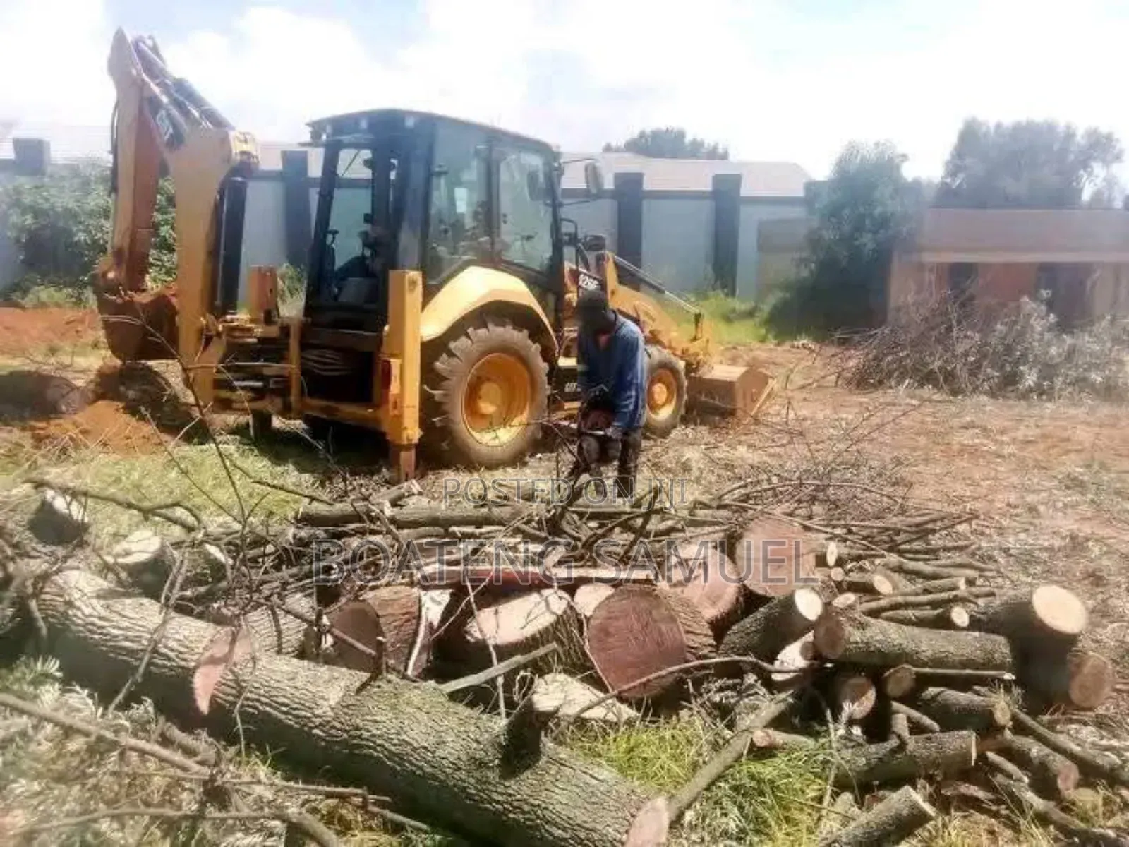 Tree Logs for Sale