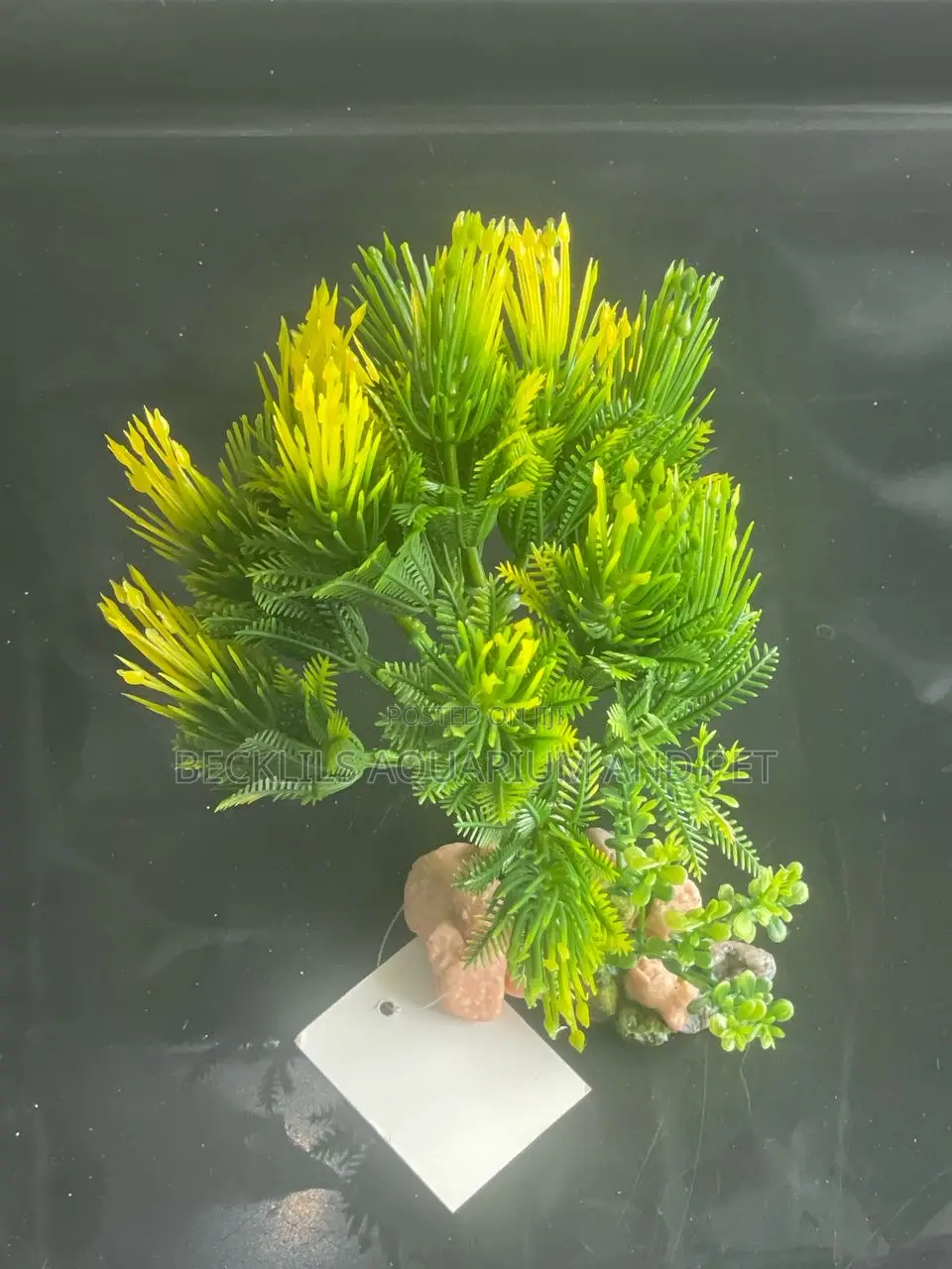 Artificial Colorful Plant B1b2