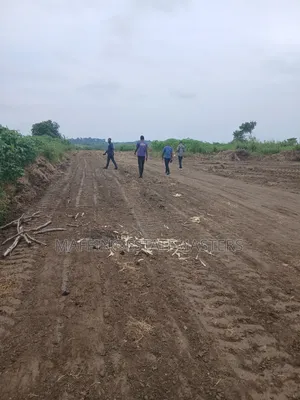 Estate Lands For Sale At Palm Hills (Panfokrom)