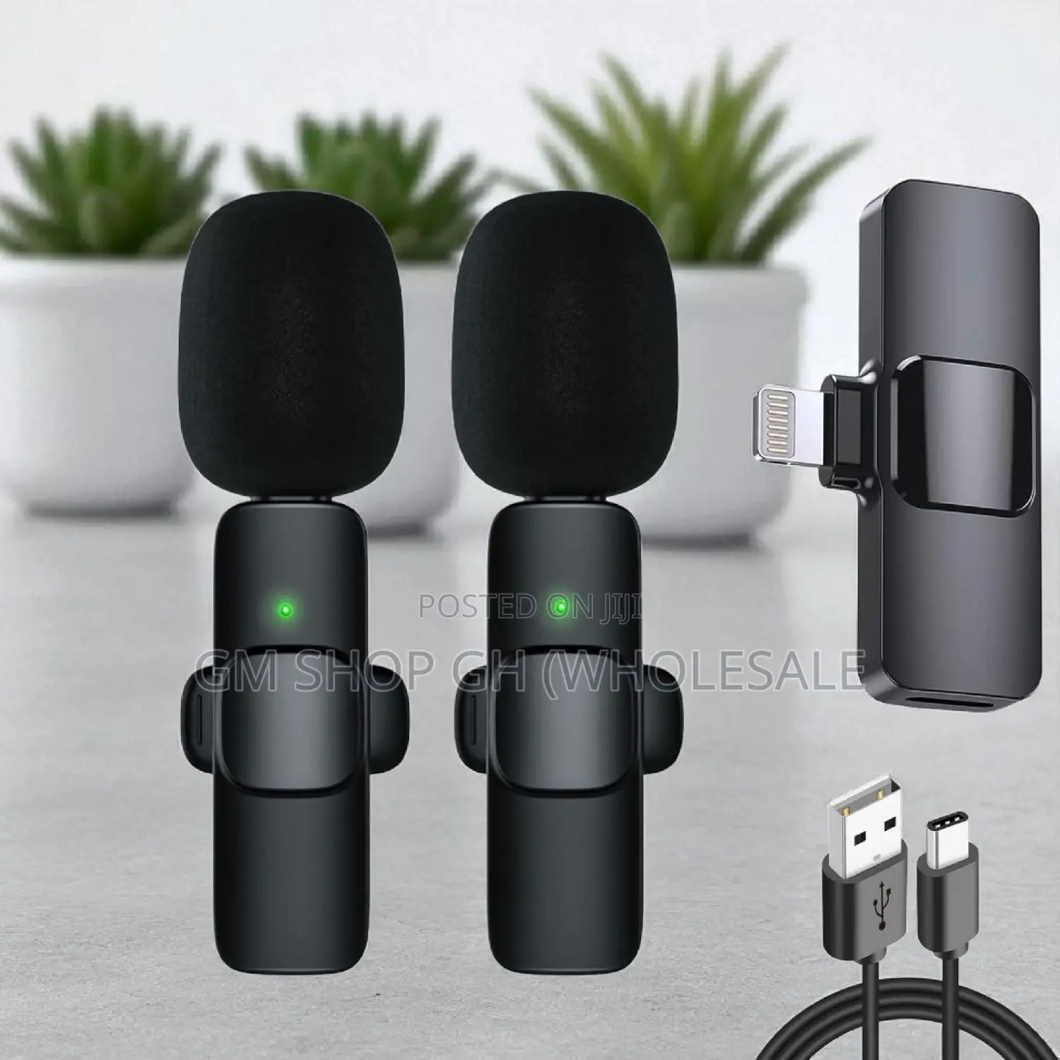 Wireless 2 in 1 Microphone (434567)