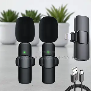 Wireless 2 in 1 Microphone (434567)