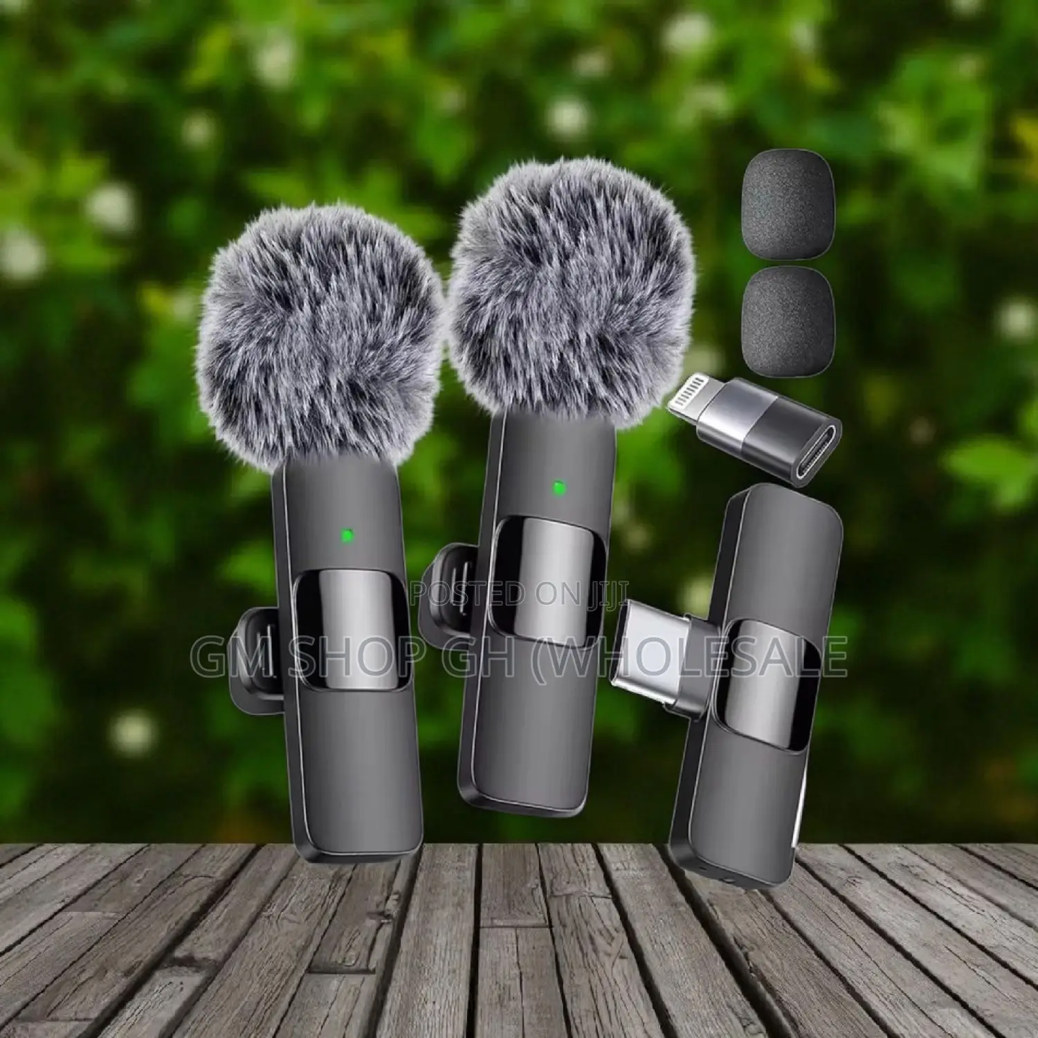All in 1 Wireless Microphone (647667)