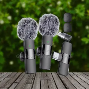 All in 1 Wireless Microphone (647667)