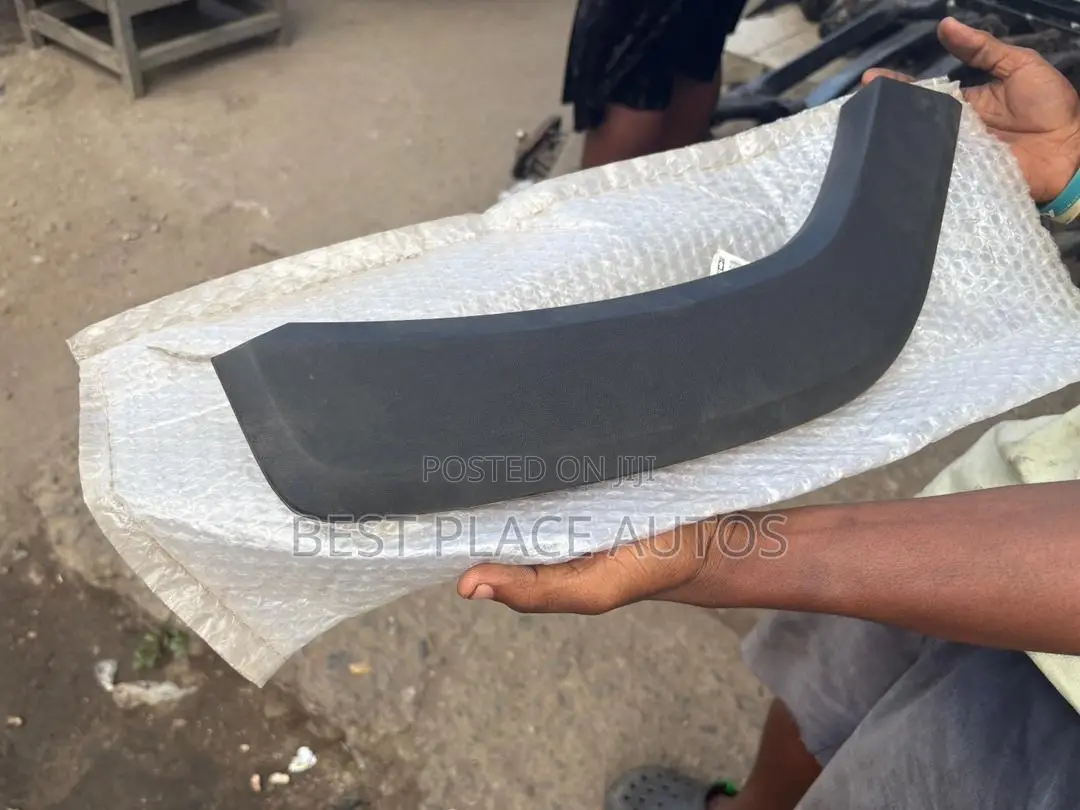 Toyota Rav4 2019 Fender Moulding / Flare