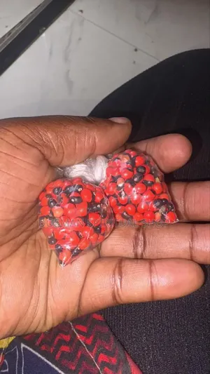 Cat Eye Seeds