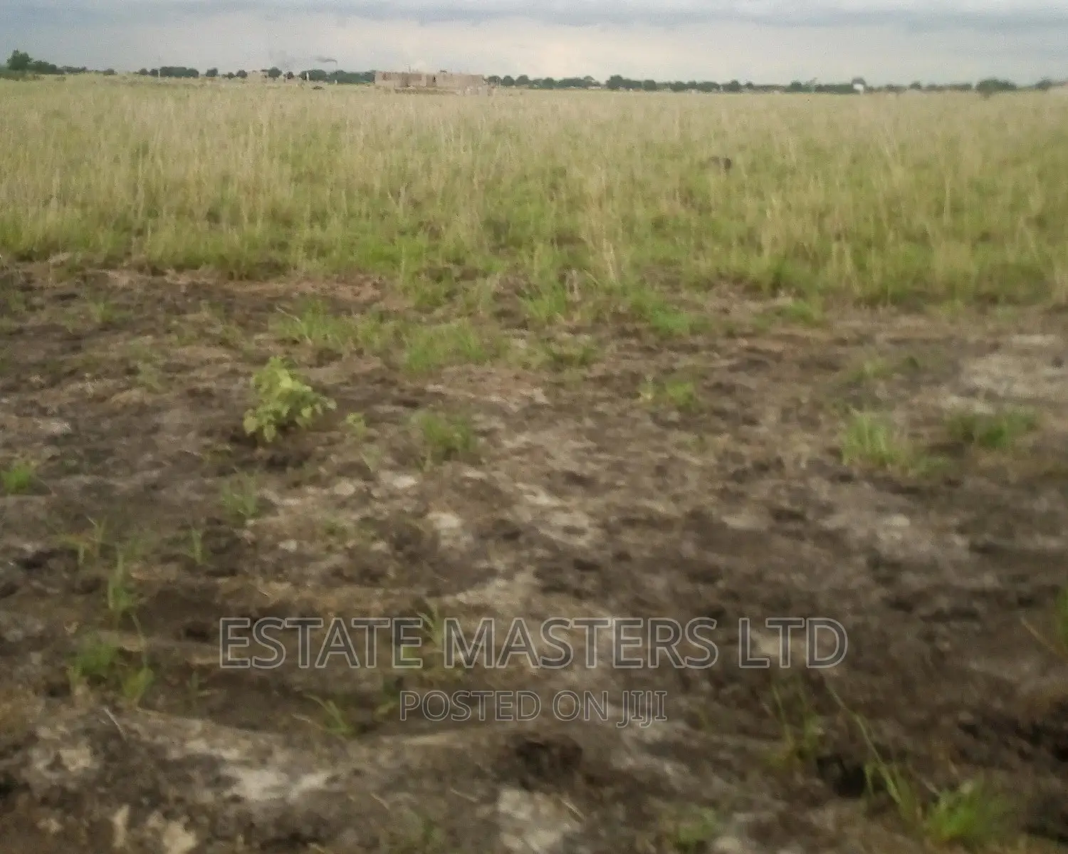 Interest Rates Dropped on Lands