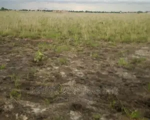 Interest Rates Dropped on Lands
