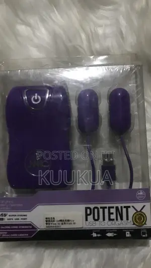 Vibrator With Battery-Operated Controller