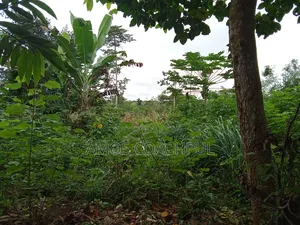 60 Acres of Farm Lands/ Chiraa Ayeiyum