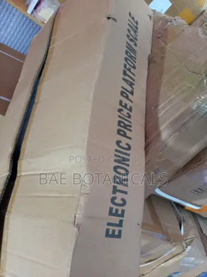 300kg Electronic Platform Scale