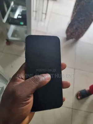 Apple iPhone 12 Pro 256 GB Gray
