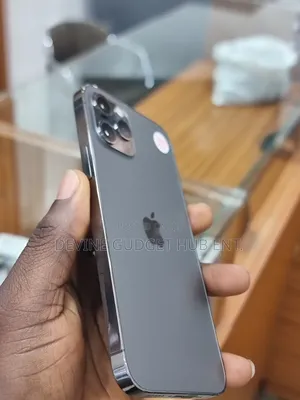 Apple iPhone 12 Pro 256 GB Gray