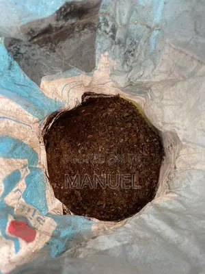 Fresh Poultry Manure