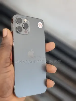 Apple iPhone 12 Pro 256 GB Gray