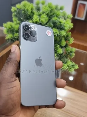 Apple iPhone 12 Pro 256 GB Gray