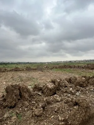 1 Prime Plot of Land for Sale