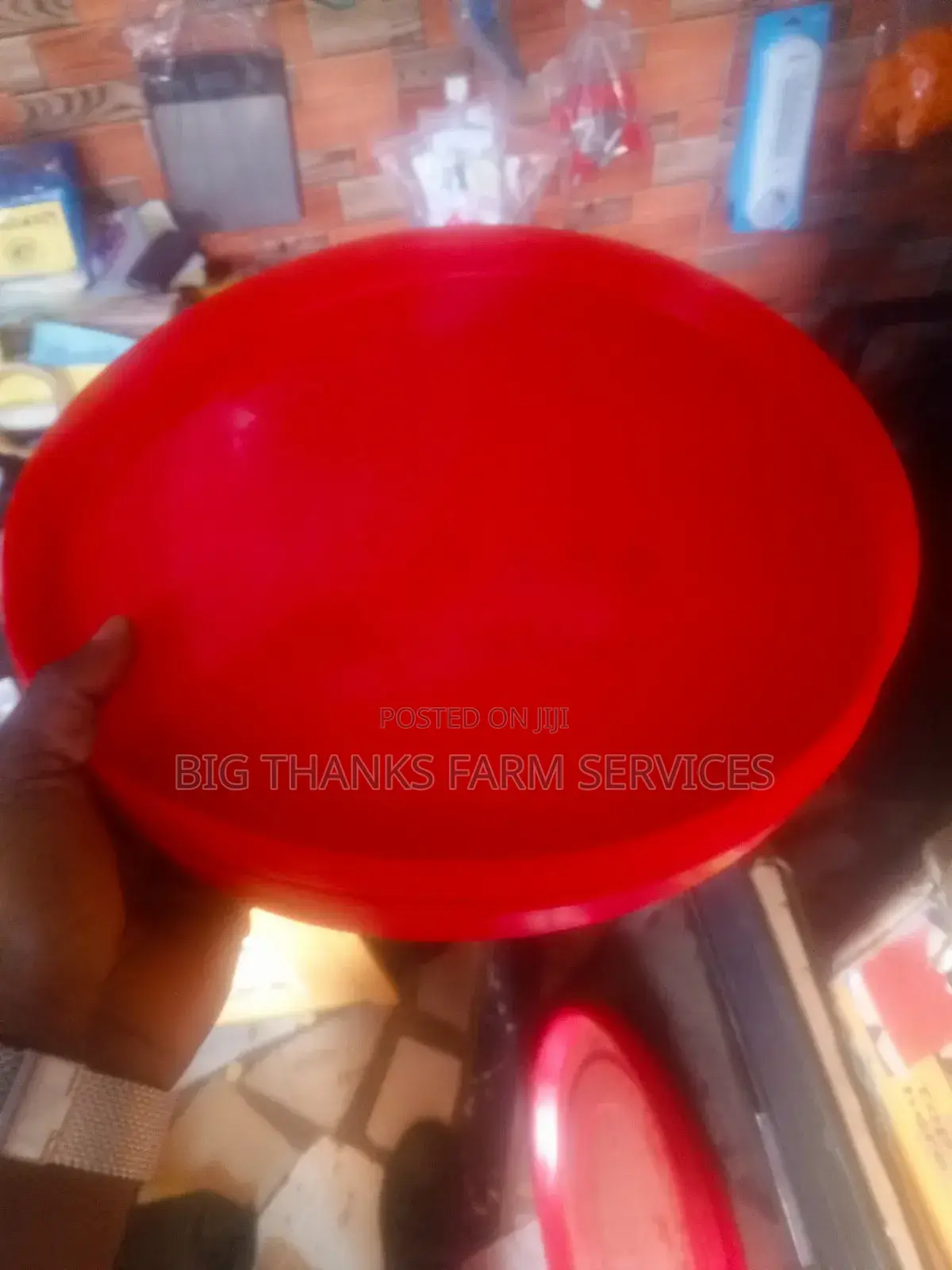 Day Old Feeding Trays