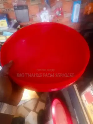 Day Old Feeding Trays