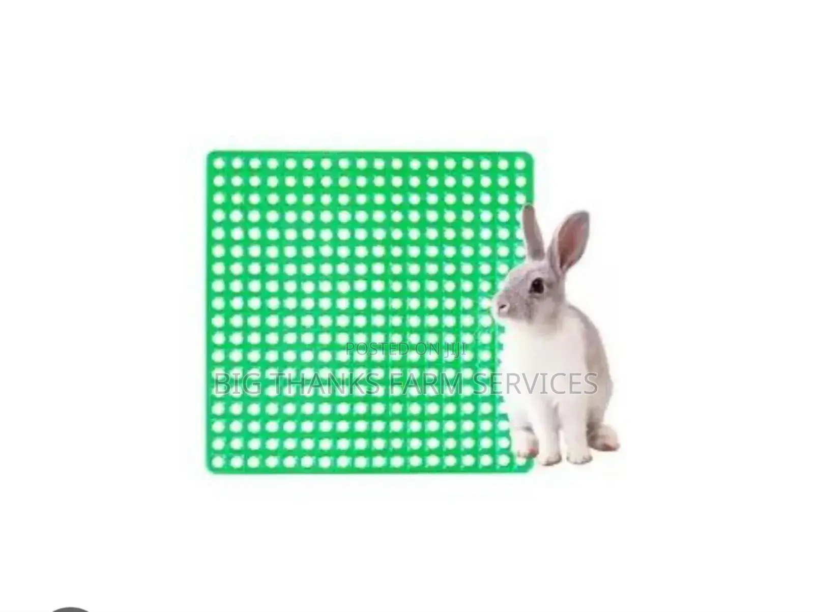 Rabbit Crates