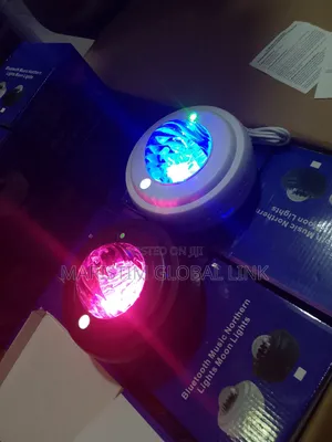 Bluetooth Music Light Modern Light
